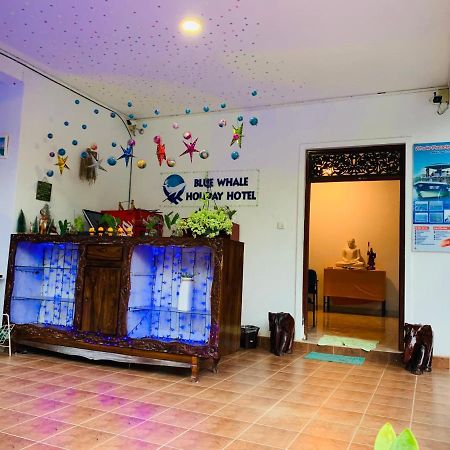 Blue Whale Holiday Hotel Mirissa Zewnętrze zdjęcie