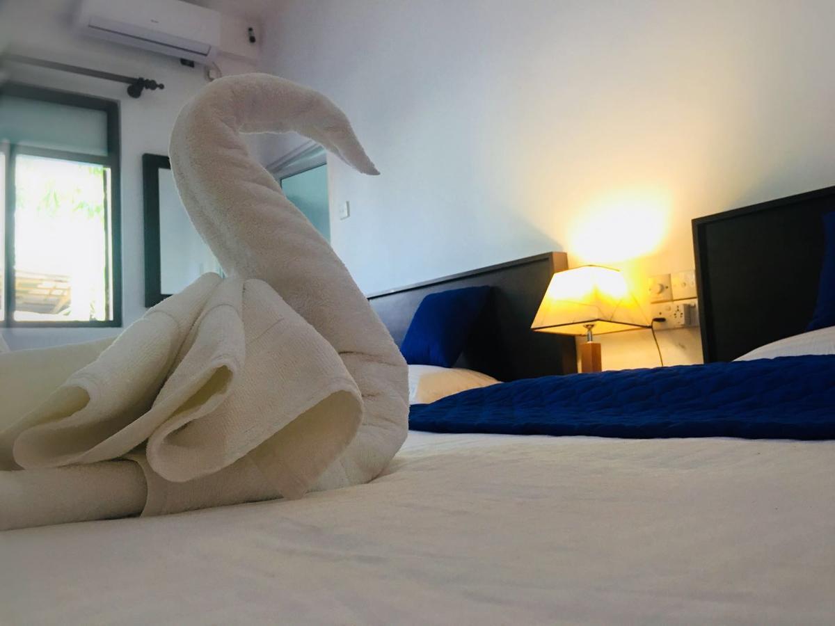 Blue Whale Holiday Hotel Mirissa Pokój zdjęcie