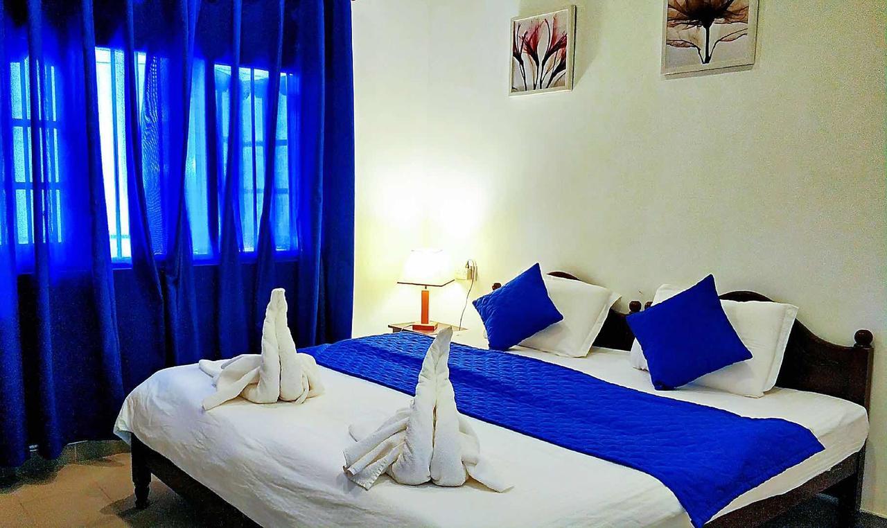 Blue Whale Holiday Hotel Mirissa Zewnętrze zdjęcie