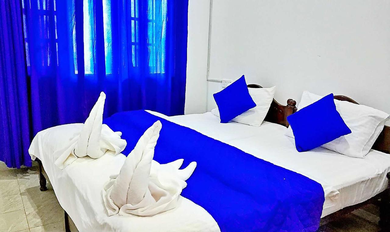 Blue Whale Holiday Hotel Mirissa Zewnętrze zdjęcie