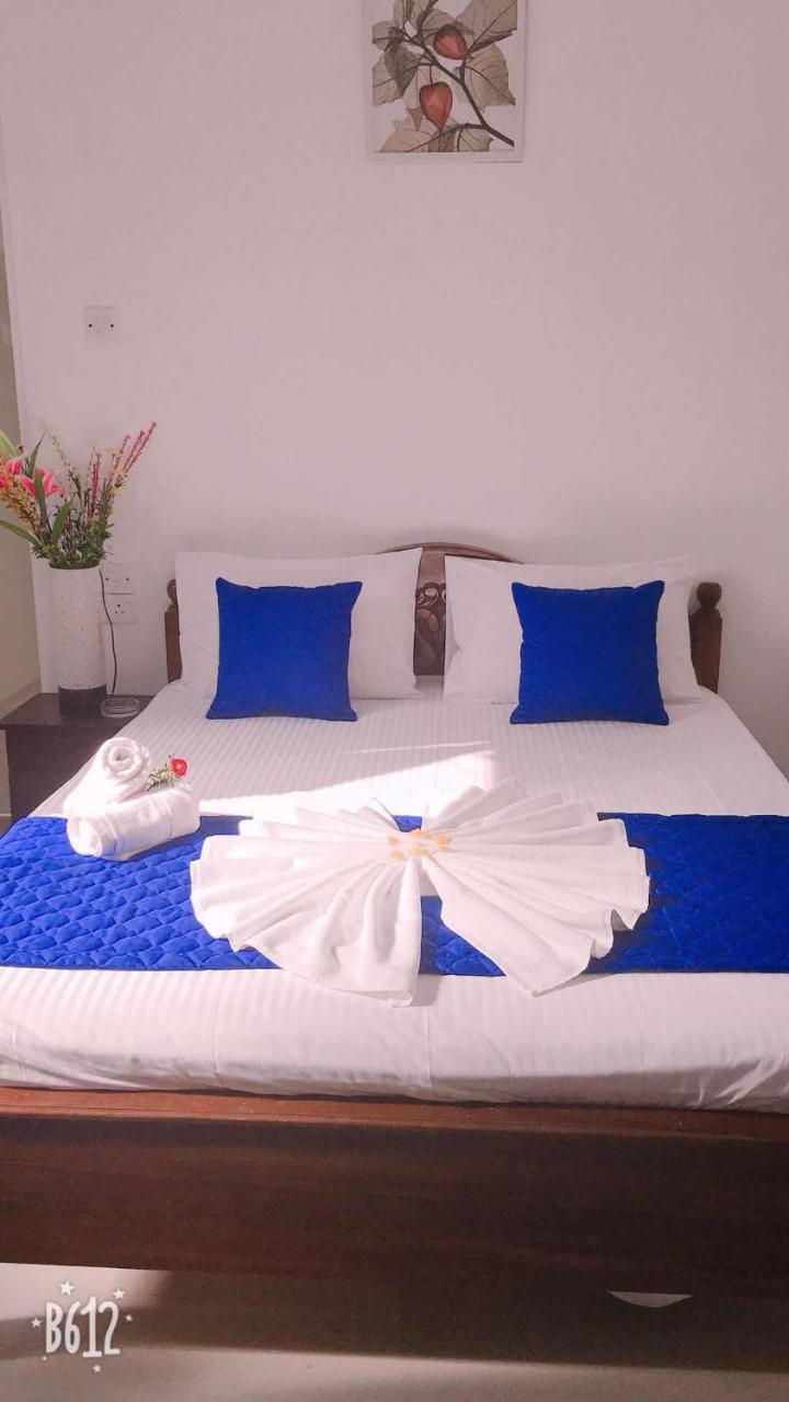 Blue Whale Holiday Hotel Mirissa Zewnętrze zdjęcie