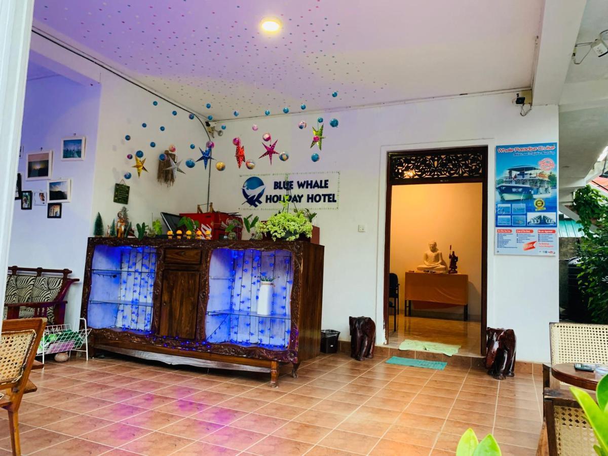 Blue Whale Holiday Hotel Mirissa Zewnętrze zdjęcie